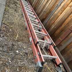 Ladder 