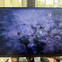 24” Lenovo Thinkvision monitor 2025