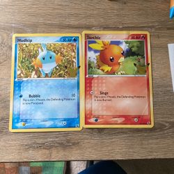 2 Huge Pokémon Cards 25 Year Anniversary 