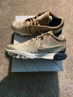 LEBRON “GOLD PACK”