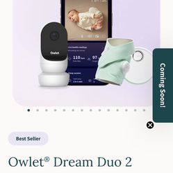 Owlet Dream Sock (new  in box)