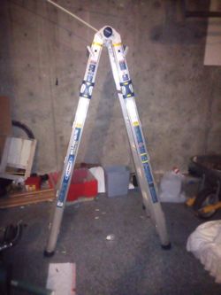 Werner 25ft Ladder