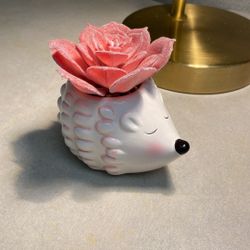Hedgehog Fake Succulent Plant 