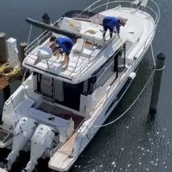 Beautiful Jeanneau NC 1095 Fly (2024)  powered by 2 x 300 Hp Yamaha with joystick