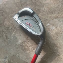Golf Stick Palo De Golf