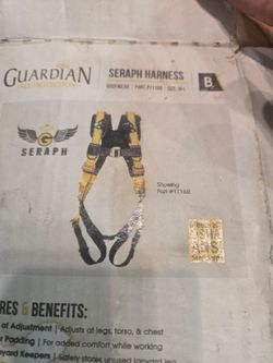 Guardian fall protection