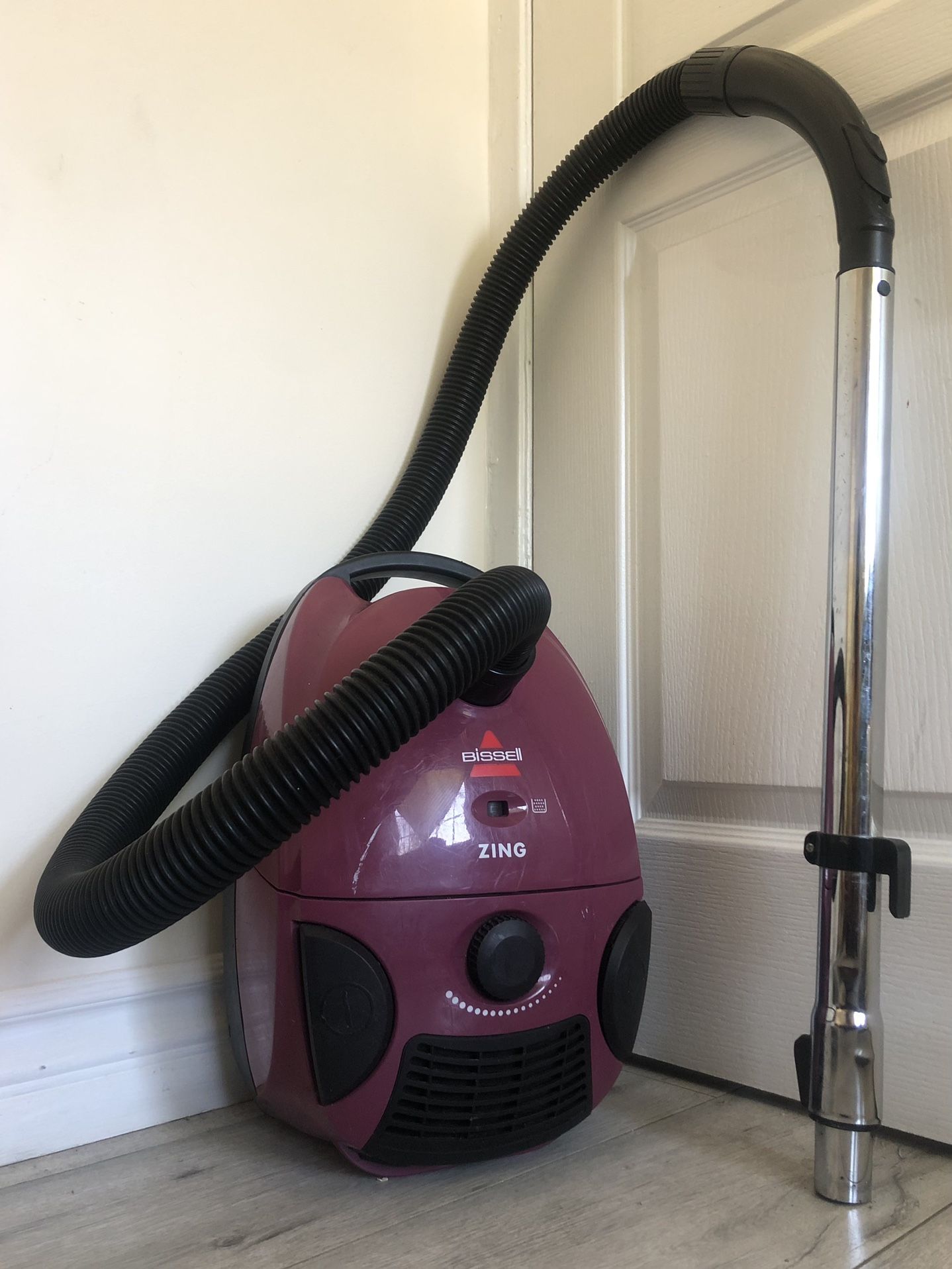 a lesson in self-love: gently-used Bissell Zing for sale 💜