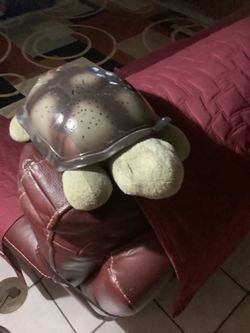 Soft Turtle With Hard Shell Lights Up 