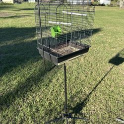 Bird Cage 