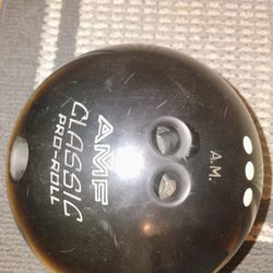 Brunswick 15 Ilb Bowling Ball And Brunswick Bag