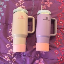 (TRADE) 2 Authentic Stanley Cups For Any Owala