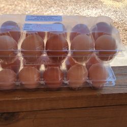 Farm Fresh Free Range Brown Chicken Eggs 