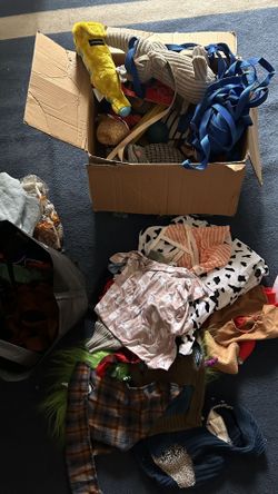 Dog Clothes And Toys