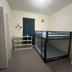 Bunk Beds - New Condition