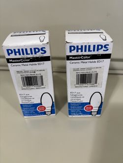 Metal Halide bulbs.