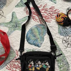 Disneyland Fanny Pack/crossbody