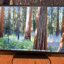 HP Z43 42.5-inch 4K UHD Display