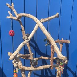 Dual Level Macaw Perch—/ Smaller Compact Base Fits Any Where ! Lots Of Gnarly Macaw Fun ! 👍🏼👍🏼