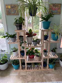Solid Wood Plant Holder Rack (17 Spots for Flower Pot)  Thumbnail