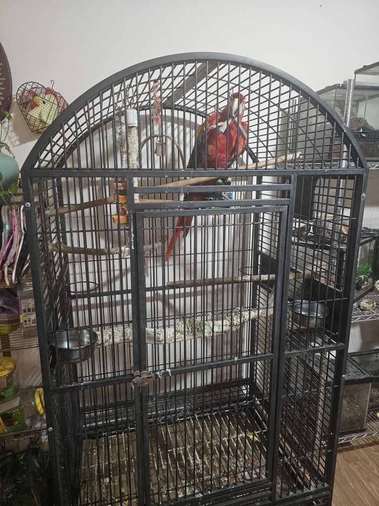 Macaw Bird Cage