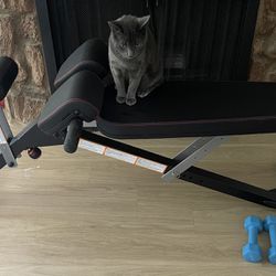 Gym/Weight bench