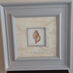 Sea Treasure IV series 12x12 print set in a 19x19 crafted wooden frame