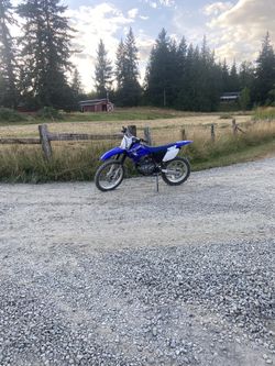 2019 Yamaha Ttr230