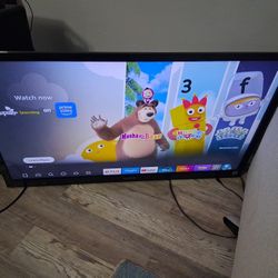 Smart 43 Inch Sony Tv
