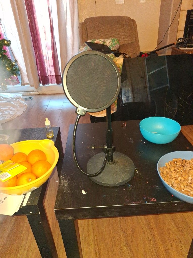 Newer Mic Stand And Spit Blocker