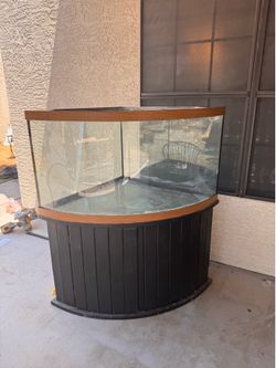 Corner aquarium/fish tank 95 gallons