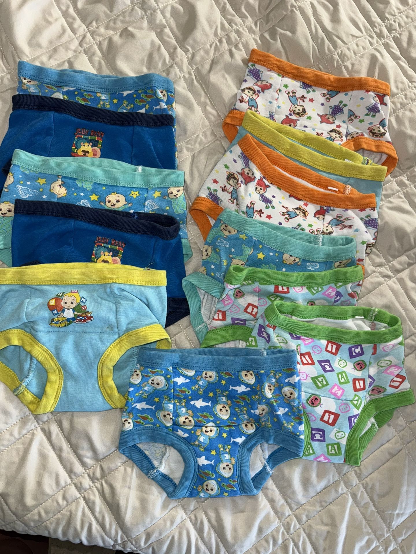 Training Pants/underwear 2T