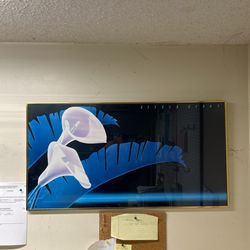 Steven Kenny 1980’s Lilly Print In Frame $60