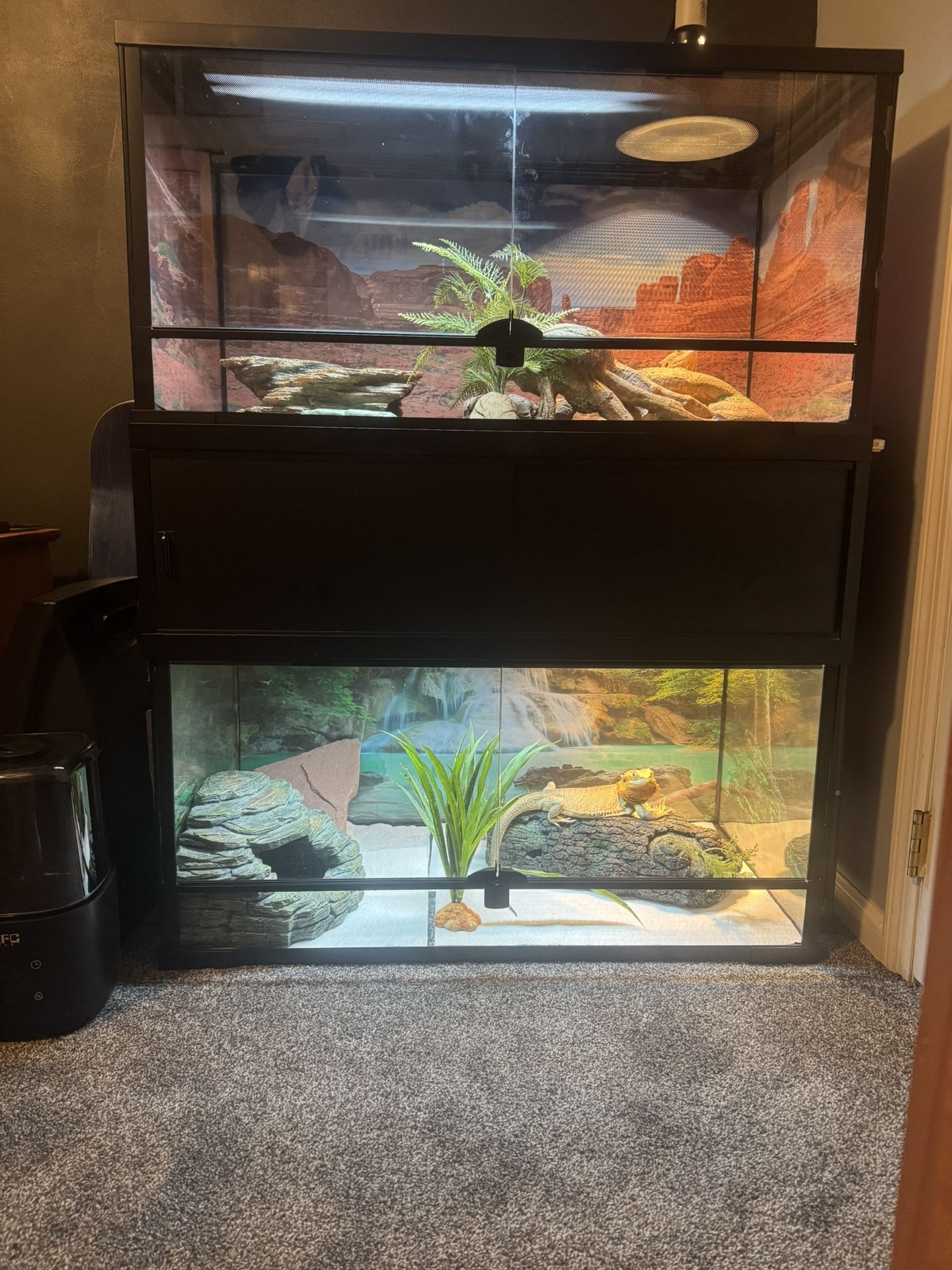 Two 40 Gallon Thrive Reptile Tanks