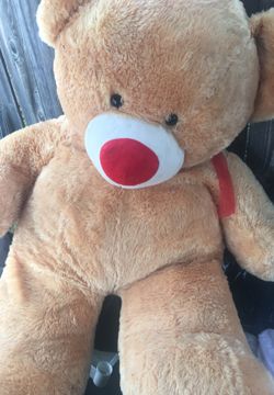 Oso de peluche