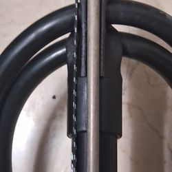 Picasso Spearfishing