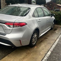 2021 Toyota Corolla Hybrid 
