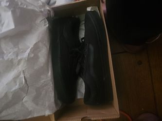 Vans skate shoe low top