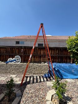 Werner 12 ft Ladder