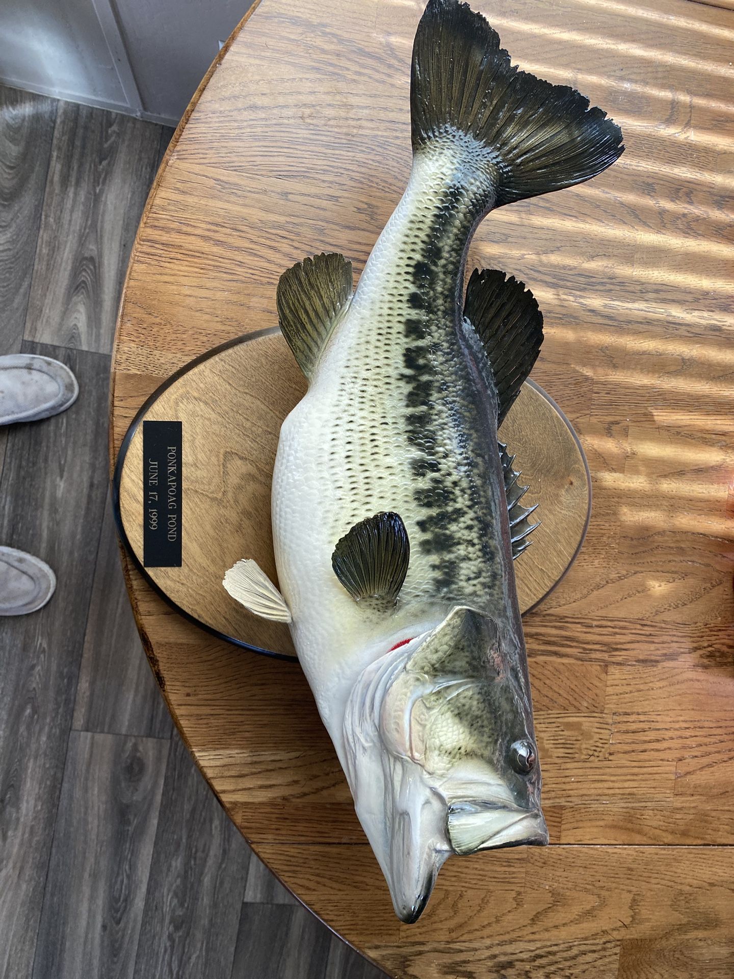 Bass Mount