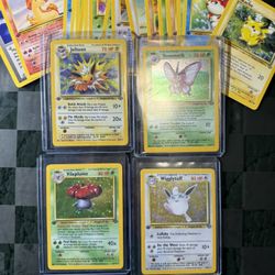 Pokémon Jungle Lot