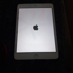 Apple iPad Mini 2 / Boot Loop Error