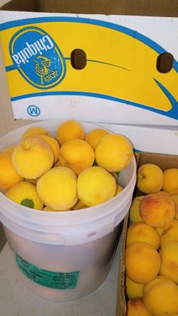 Durazno amarillo