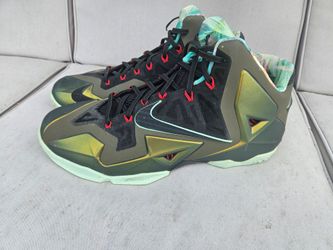 Nike Lebron James Basketball Shoes