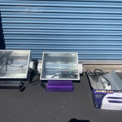 Grow Lights For Huge Tomatoes 