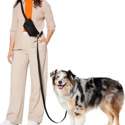 Frisco Hands Free Dog Leash with Removable Pouch, Black, Medium/Large