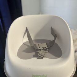 Ingenuity Booster Seat 