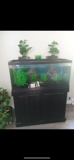 40 Gallon Fish Tank Combo