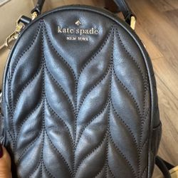Kate Spade Briar Lane Small Backpack Quilted Leather 