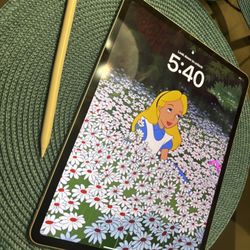 iPad Pro 12.9in (4th Gen 2020)+ Apple Pencil 