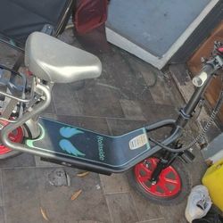 Roinside electric scooter
